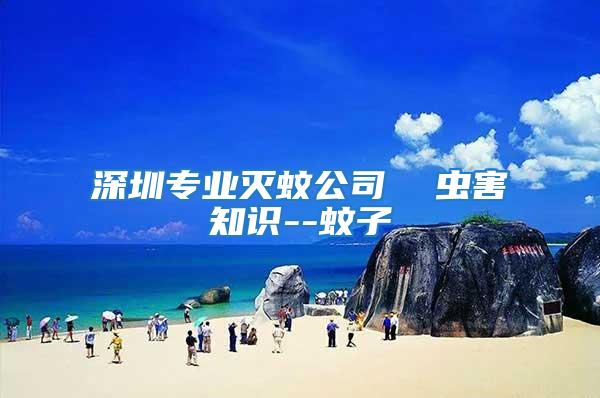 深圳專業(yè)滅蚊公司  蟲(chóng)害知識(shí)--蚊子