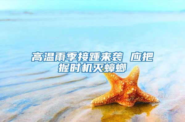 高溫雨季接踵來襲 應把握時機滅蟑螂