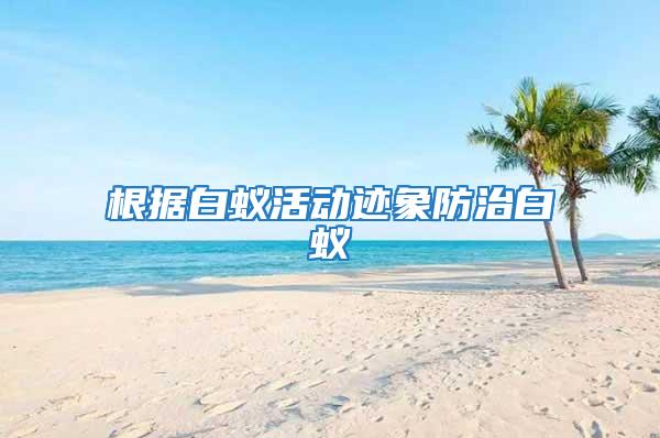 根據白蟻活動跡象防治白蟻