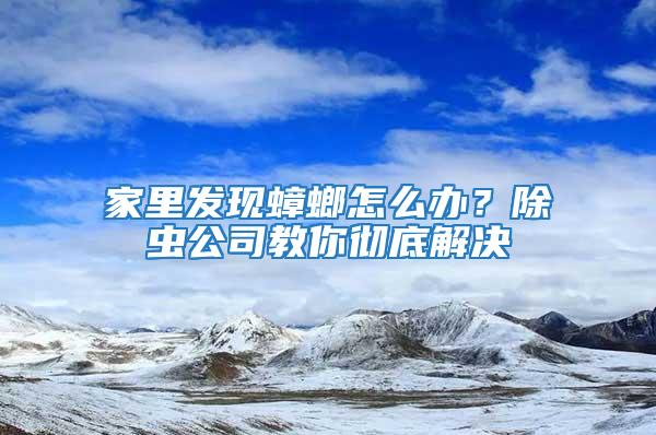 家里發現蟑螂怎么辦？除蟲公司教你徹底解決