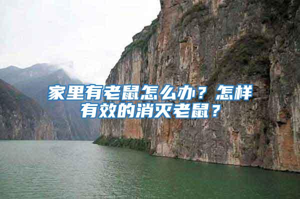 家里有老鼠怎么辦？怎樣有效的消滅老鼠？
