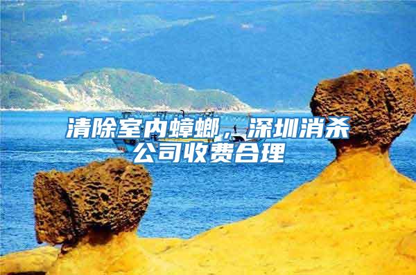 清除室內蟑螂，深圳消殺公司收費合理