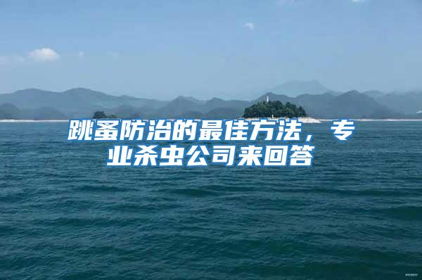 跳蚤防治的最佳方法，專(zhuān)業(yè)殺蟲(chóng)公司來(lái)回答