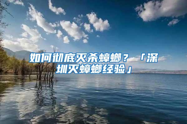 如何徹底滅殺蟑螂？「深圳滅蟑螂經驗」