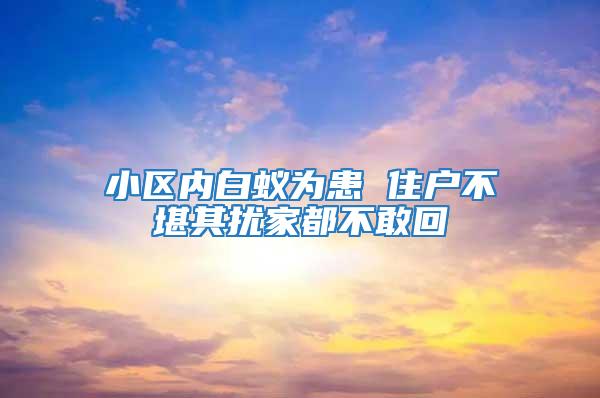 小區(qū)內(nèi)白蟻為患 住戶不堪其擾家都不敢回