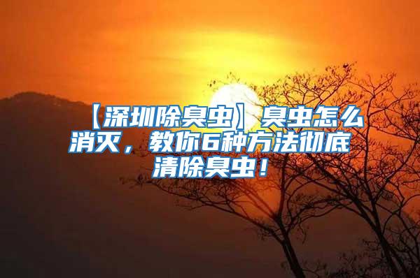 【深圳除臭蟲】臭蟲怎么消滅，教你6種方法徹底清除臭蟲！