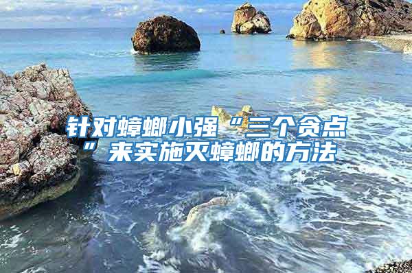 針對(duì)蟑螂小強(qiáng)“三個(gè)貪點(diǎn)”來實(shí)施滅蟑螂的方法