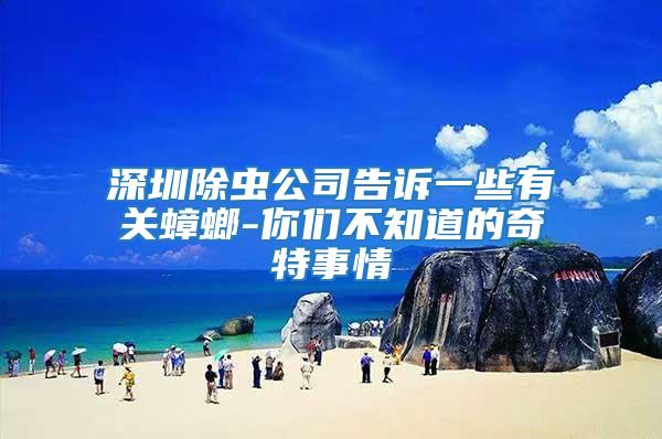 深圳除蟲(chóng)公司告訴一些有關(guān)蟑螂-你們不知道的奇特事情