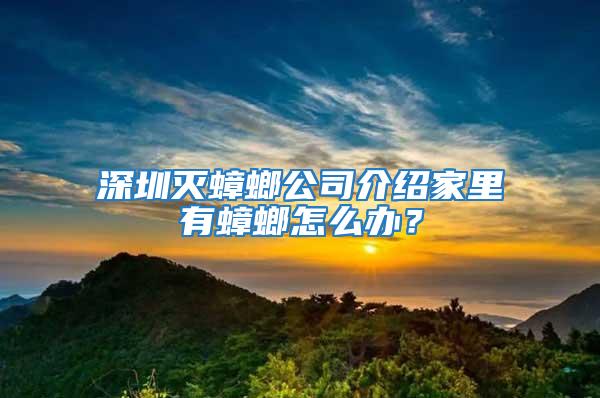 深圳滅蟑螂公司介紹家里有蟑螂怎么辦？