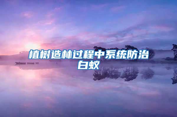 植樹造林過程中系統防治白蟻