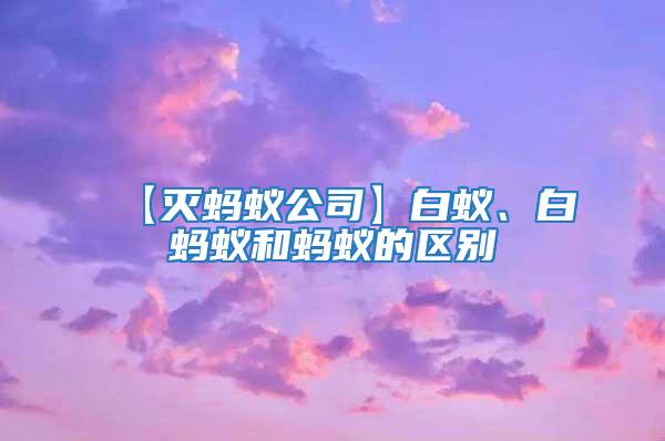 【滅螞蟻公司】白蟻、白螞蟻和螞蟻的區別