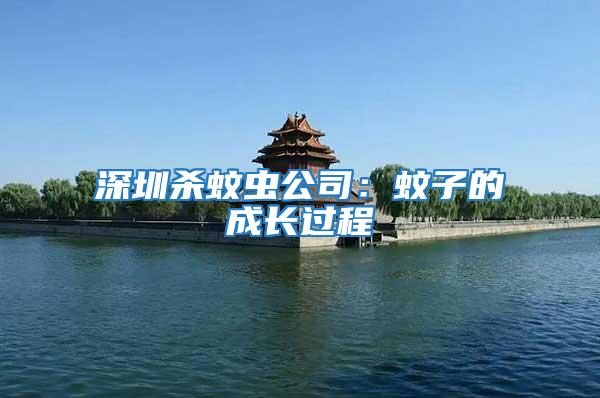 深圳殺蚊蟲(chóng)公司：蚊子的成長(zhǎng)過(guò)程