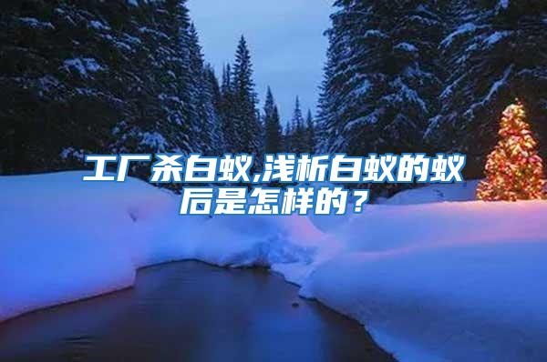 工廠殺白蟻,淺析白蟻的蟻后是怎樣的？