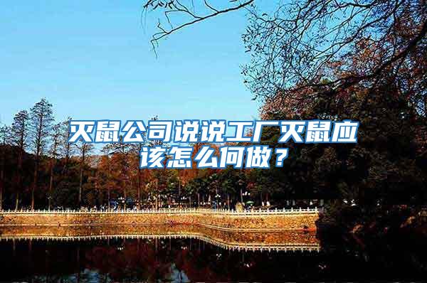 滅鼠公司說說工廠滅鼠應該怎么何做？