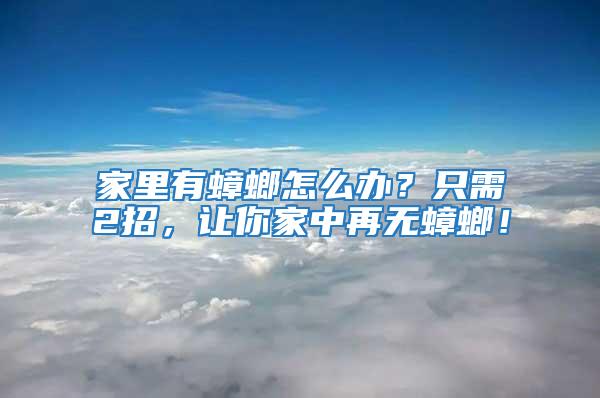 家里有蟑螂怎么辦？只需2招，讓你家中再無蟑螂！
