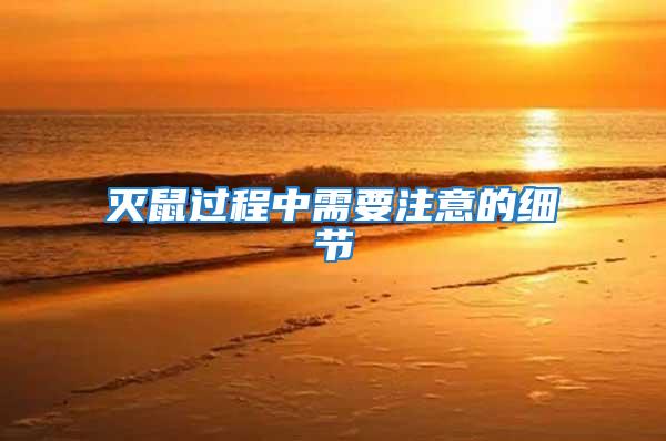 滅鼠過(guò)程中需要注意的細(xì)節(jié)