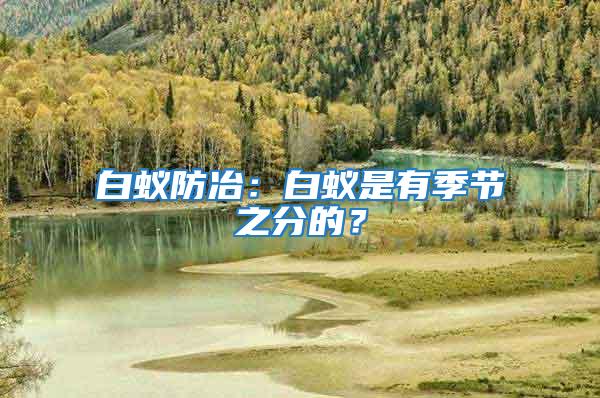 白蟻防冶：白蟻是有季節(jié)之分的？