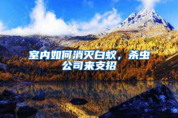 室內(nèi)如何消滅白蟻，殺蟲公司來支招