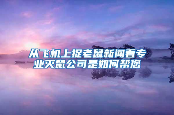 從飛機上捉老鼠新聞看專業滅鼠公司是如何幫您