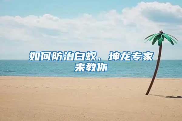 如何防治白蟻、坤龍專(zhuān)家來(lái)教你