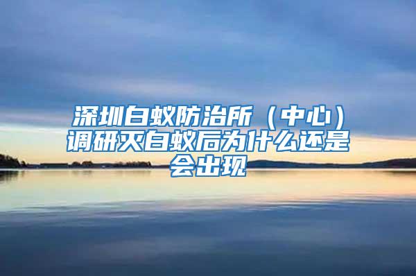 深圳白蟻防治所（中心）調研滅白蟻后為什么還是會出現