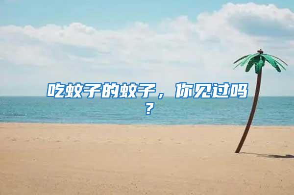 吃蚊子的蚊子，你見過嗎？