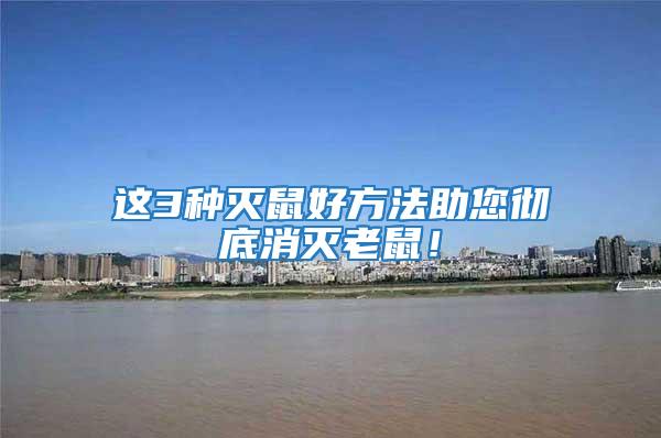 這3種滅鼠好方法助您徹底消滅老鼠！