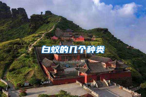 白蟻的幾個(gè)種類(lèi)