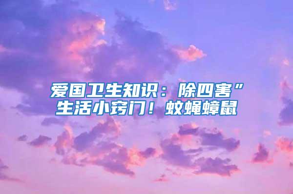 愛國衛生知識：除四害”生活小竅門！蚊蠅蟑鼠