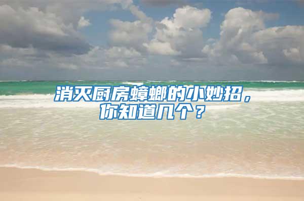 消滅廚房蟑螂的小妙招，你知道幾個？