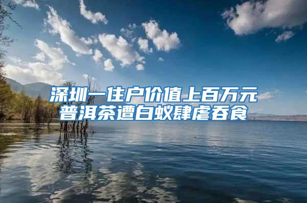 深圳一住戶價值上百萬元普洱茶遭白蟻肆虐吞食