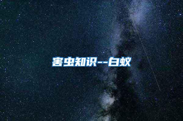 害蟲(chóng)知識(shí)--白蟻