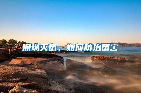 深圳滅鼠，如何防治鼠害