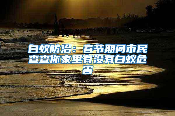 白蟻防治：春節期間市民查查你家里有沒有白蟻危害