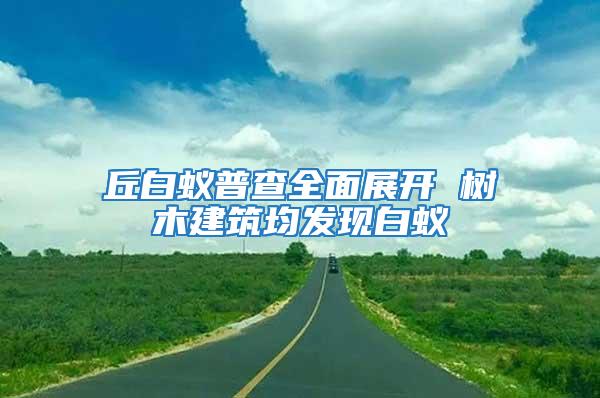 丘白蟻普查全面展開(kāi) 樹(shù)木建筑均發(fā)現(xiàn)白蟻