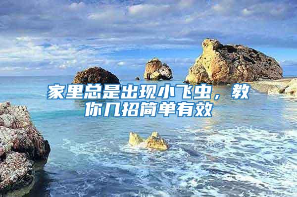 家里總是出現(xiàn)小飛蟲(chóng)，教你幾招簡(jiǎn)單有效