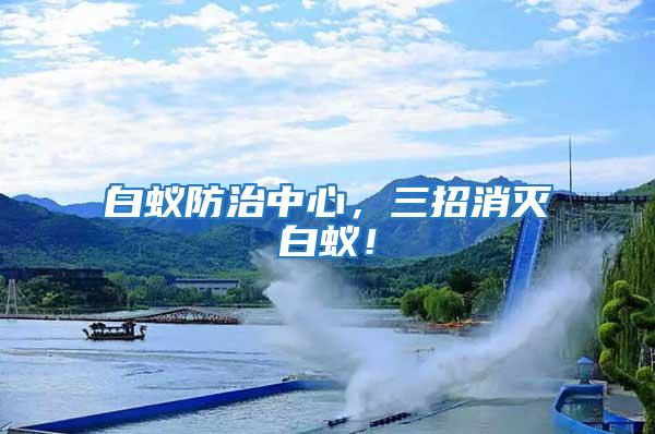白蟻防治中心，三招消滅白蟻！