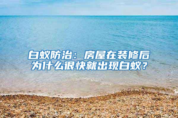 白蟻防治：房屋在裝修后為什么很快就出現(xiàn)白蟻？