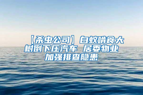 【殺蟲公司】白蟻啃食大樹倒下壓汽車 居委物業(yè)加強(qiáng)排查隱患