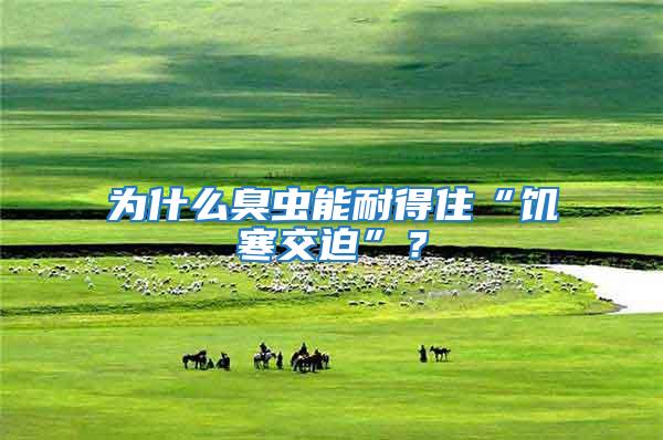 為什么臭蟲能耐得住“饑寒交迫”？