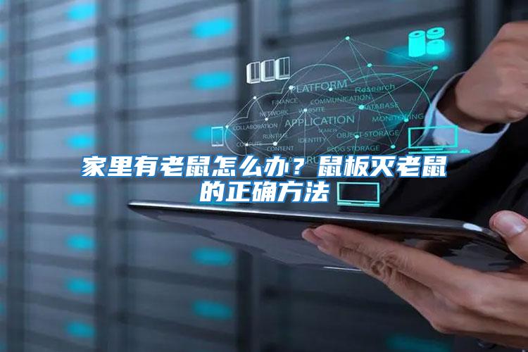 家里有老鼠怎么辦？鼠板滅老鼠的正確方法
