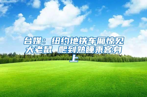 臺(tái)媒：紐約地鐵車廂驚見大老鼠 爬到熟睡乘客身上