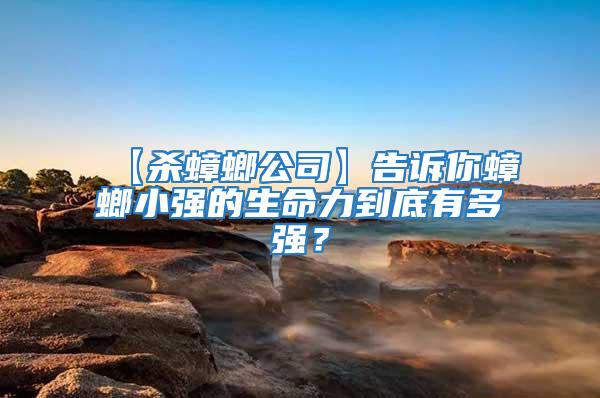 【殺蟑螂公司】告訴你蟑螂小強(qiáng)的生命力到底有多強(qiáng)？