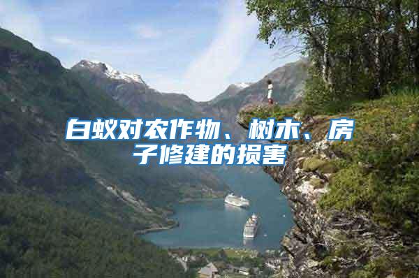 白蟻對農作物、樹木、房子修建的損害