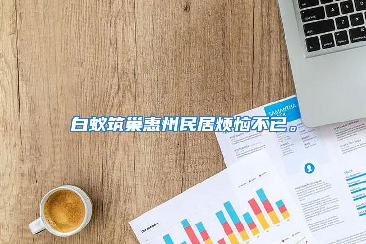 白蟻筑巢惠州民居煩惱不已。