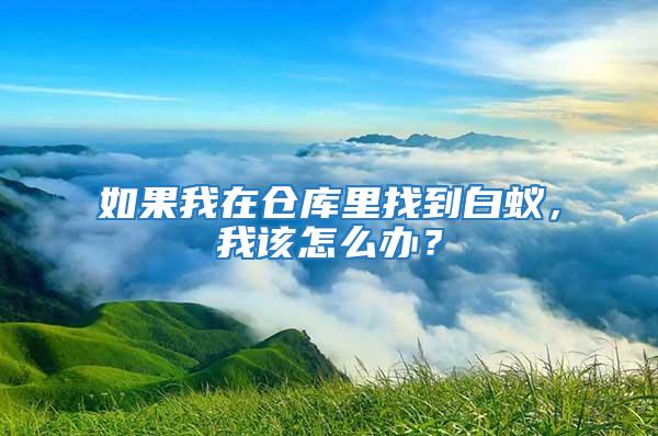 如果我在倉(cāng)庫(kù)里找到白蟻，我該怎么辦？