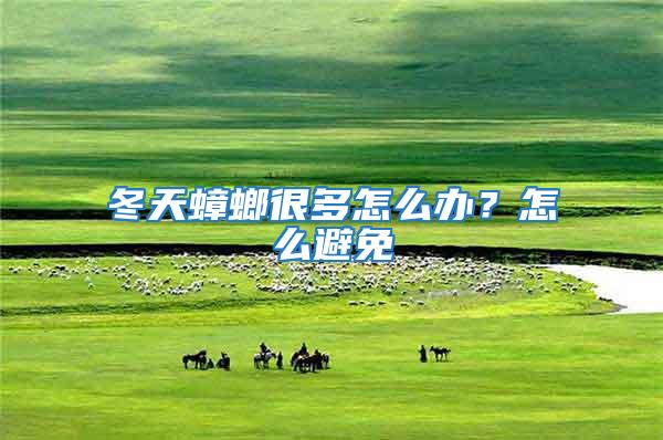 冬天蟑螂很多怎么辦？怎么避免