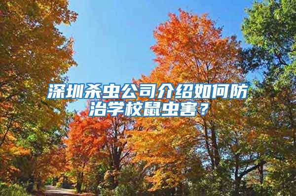 深圳殺蟲公司介紹如何防治學校鼠蟲害？