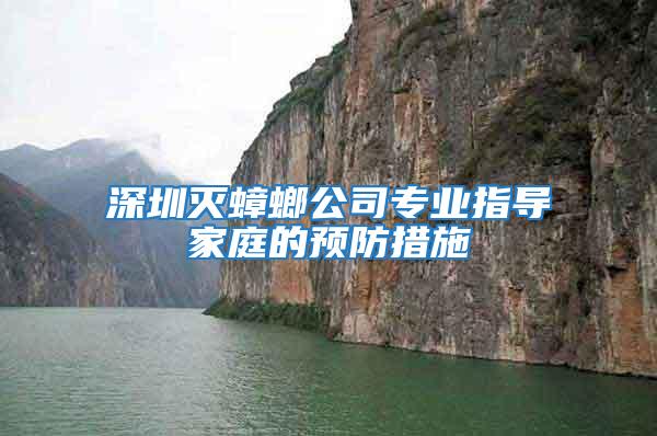 深圳滅蟑螂公司專(zhuān)業(yè)指導(dǎo)家庭的預(yù)防措施