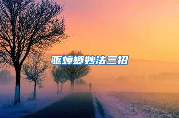 驅(qū)蟑螂妙法三招